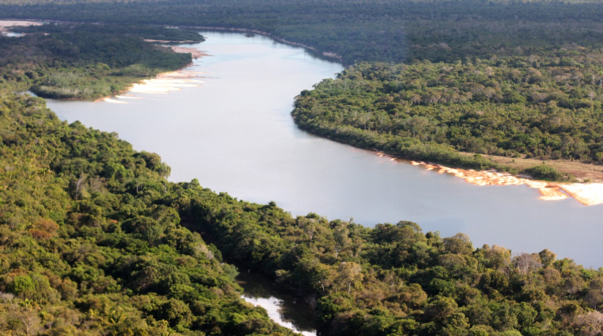 Tocantins cria programa que transforma multas ambientais em a&ccedil;&otilde;es de recupera&ccedil;&atilde;o da natureza