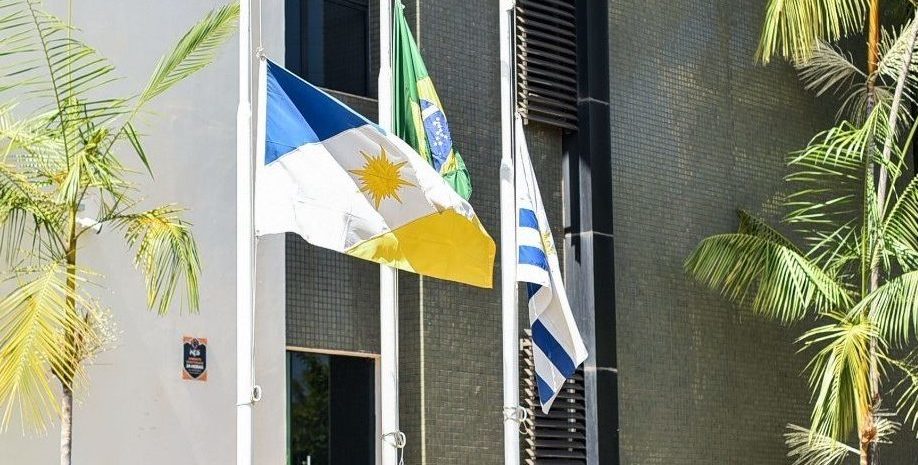 DPE-TO abre sele&ccedil;&atilde;o para avalia&ccedil;&atilde;o de artigos cient&iacute;ficos na &aacute;rea jur&iacute;dica