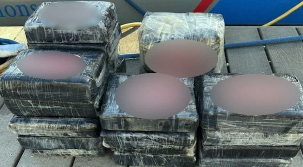 Velejador encontra 23 quilos de coca&iacute;na boiando na costa da Fl&oacute;rida