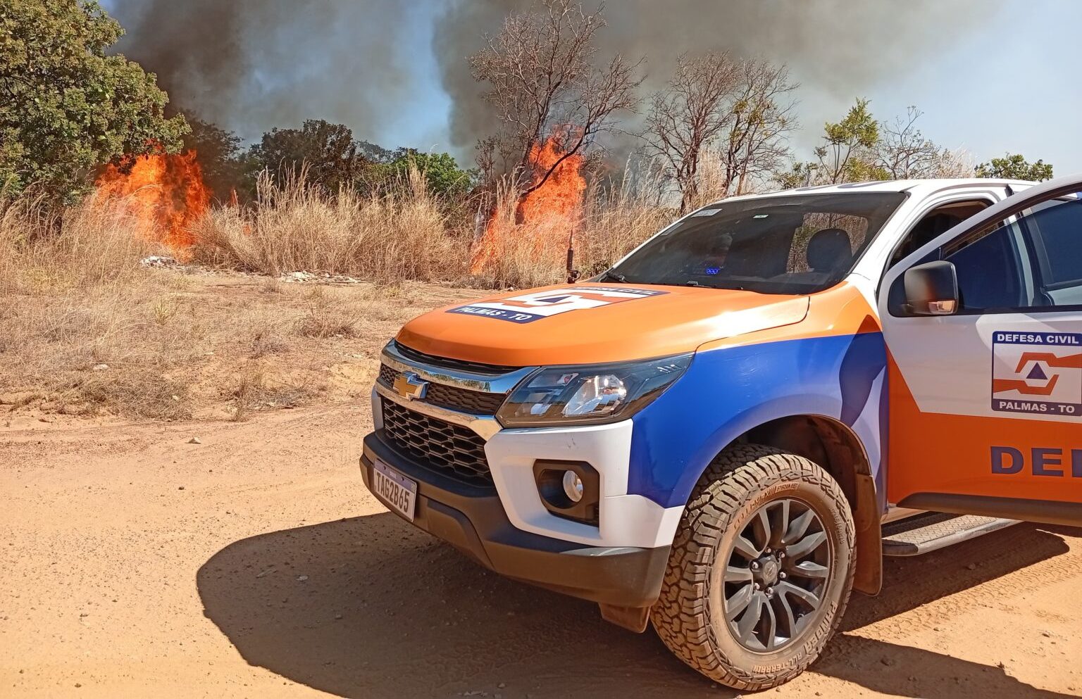 Defesa Civil de Palmas controla inc&ecirc;ndio florestal em &aacute;rea de mata no setor Nova Flamboyant