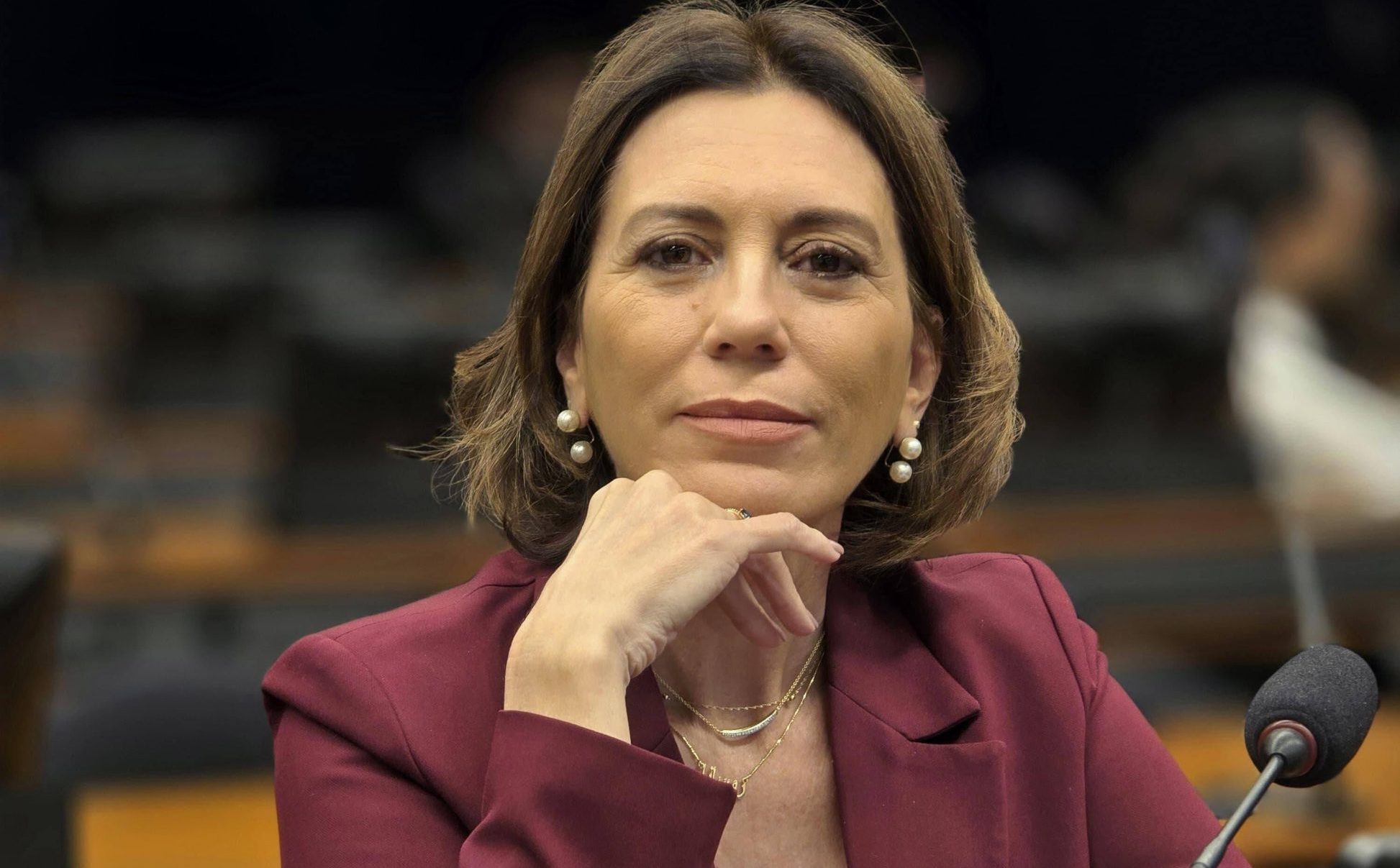 Resist&ecirc;ncia ao autoritarismo no Brasil: dever c&iacute;vico, n&atilde;o op&ccedil;&atilde;o