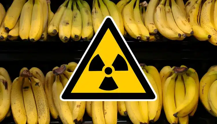 Sabia que as bananas emitem radia&ccedil;&atilde;o? Veja porqu&ecirc;