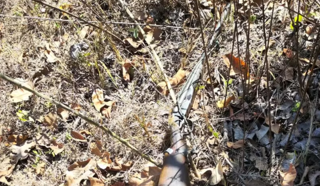 Mulher morre, adolescente fica ferido e idoso &eacute; encontrado morto ap&oacute;s disparo acidental de espingarda durante ca&ccedil;ada em MT