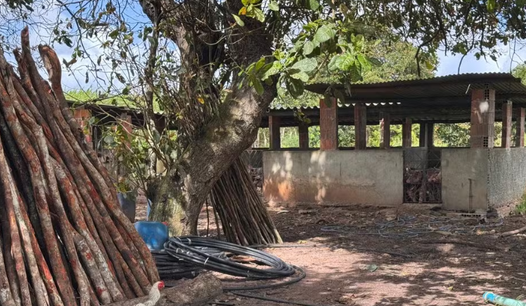 Comerciante sequestrado &eacute; encontrado morto em &aacute;rea de mata em Goianinha