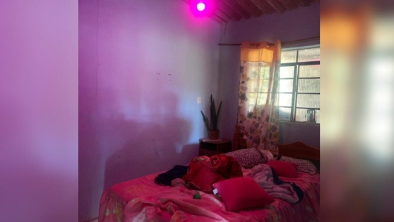 Duas mulheres s&atilde;o presas por manter casa de prostitui&ccedil;&atilde;o e praticar maus-tratos contra crian&ccedil;as em Luzi&acirc;nia