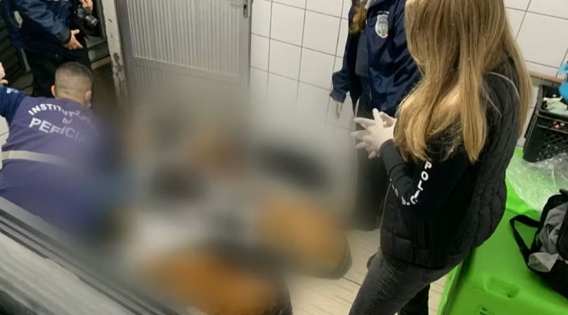 Ex-secret&aacute;ria de Canoas &eacute; investigada por usar c&atilde;es resgatados para pedir doa&ccedil;&otilde;es via PIX e depois sacrific&aacute;-los