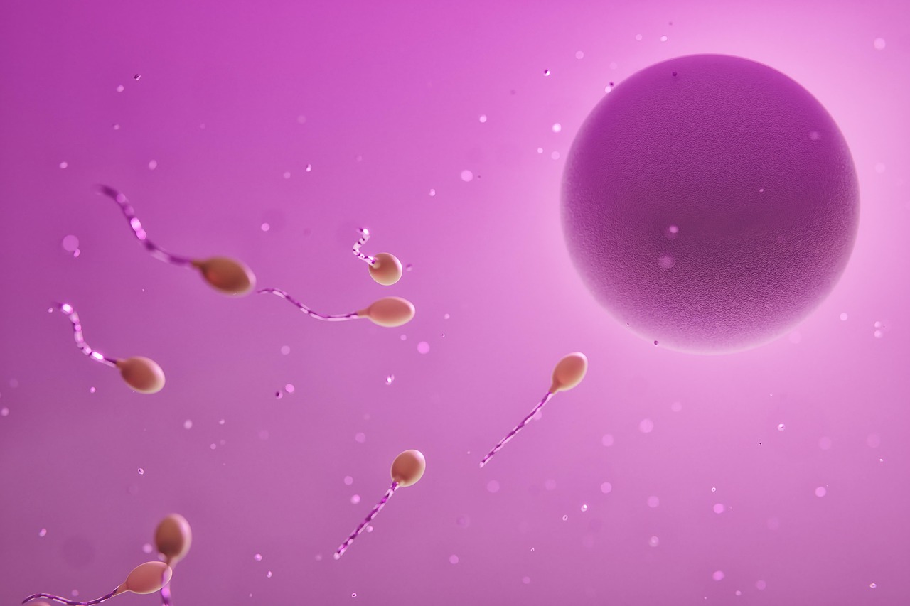 FGTS para ter um filho? Ju&iacute;za autoriza saque para pagar fertiliza&ccedil;&atilde;o in vitro