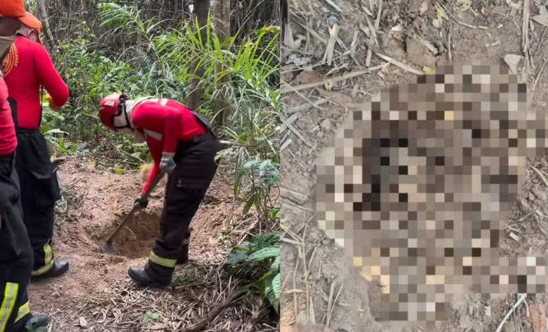 Per&iacute;cia encontra novos restos mortais em covas usadas para desova de corpos em Imperatriz (MA)