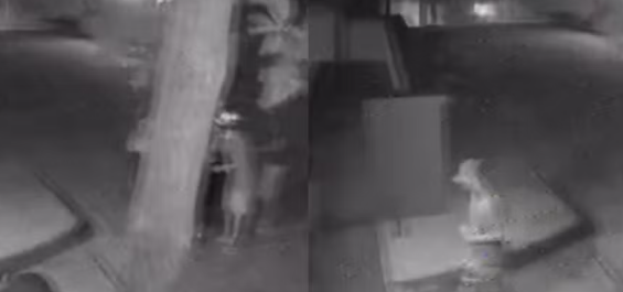 Entregador &eacute; assaltado e tem moto roubada em Teresina