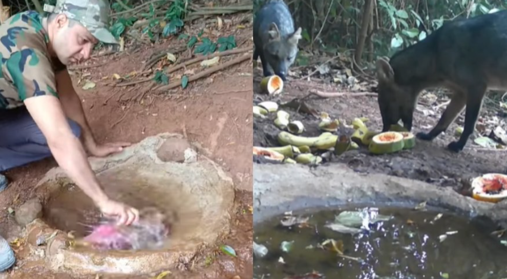 Bebedouro limpo vira ponto de encontro para animais selvagens em v&iacute;deo viral