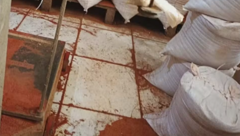 Fezes de ratos e lixo em temperos: Vigil&acirc;ncia fecha quatro f&aacute;bricas clandestinas na Bahia