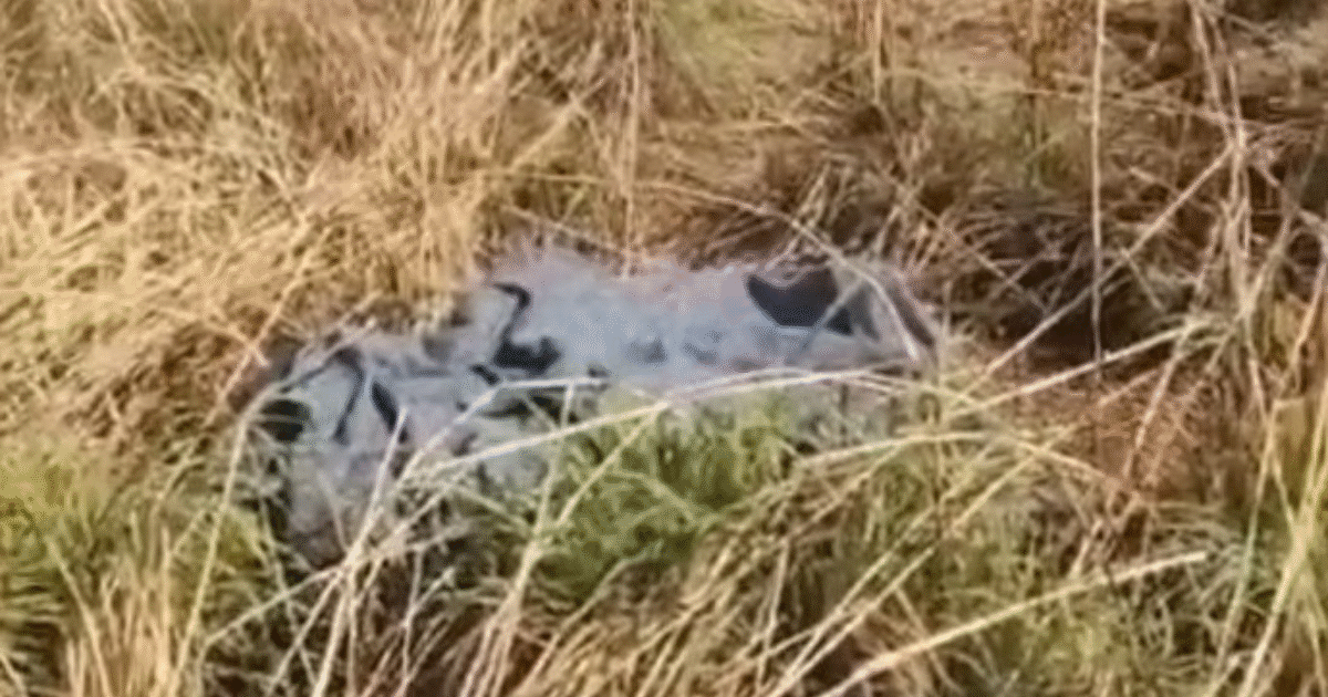 Mulher &eacute; encontrada morta &agrave;s margens de estrada vicinal entre Abadia de Goi&aacute;s e Guap&oacute; GO
