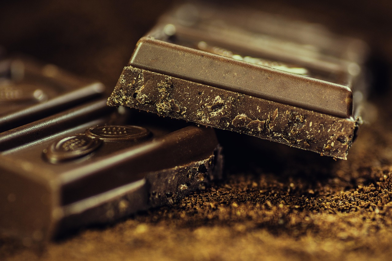 O que acontece DEPOIS que seu c&atilde;o come chocolate? A verdade que poucos sabem
