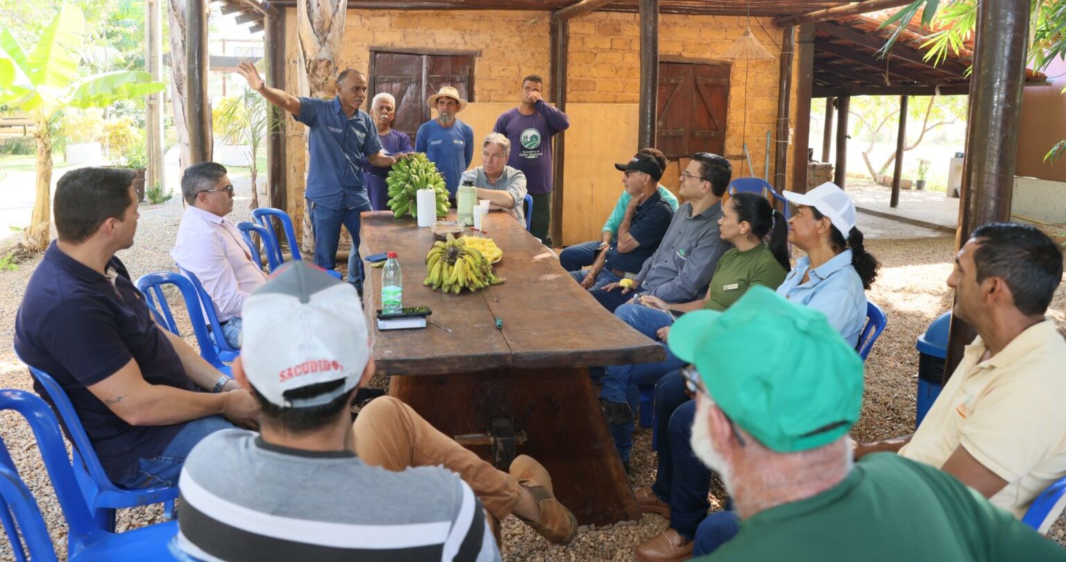 Prefeitura de Palmas articula parceria com Banco da Amaz&ocirc;nia para ampliar acesso a cr&eacute;dito e fortalecer pequenos produtores