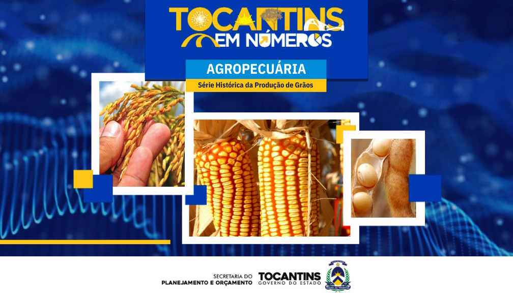 Tocantins atinge novo recorde na produ&ccedil;&atilde;o de gr&atilde;os com 9,1 milh&otilde;es de toneladas colhidas na safra 2024/25
