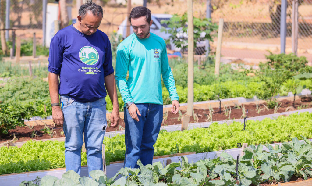 Visitas t&eacute;cnicas antecedem capacita&ccedil;&atilde;o em hortas comunit&aacute;rias de Palmas