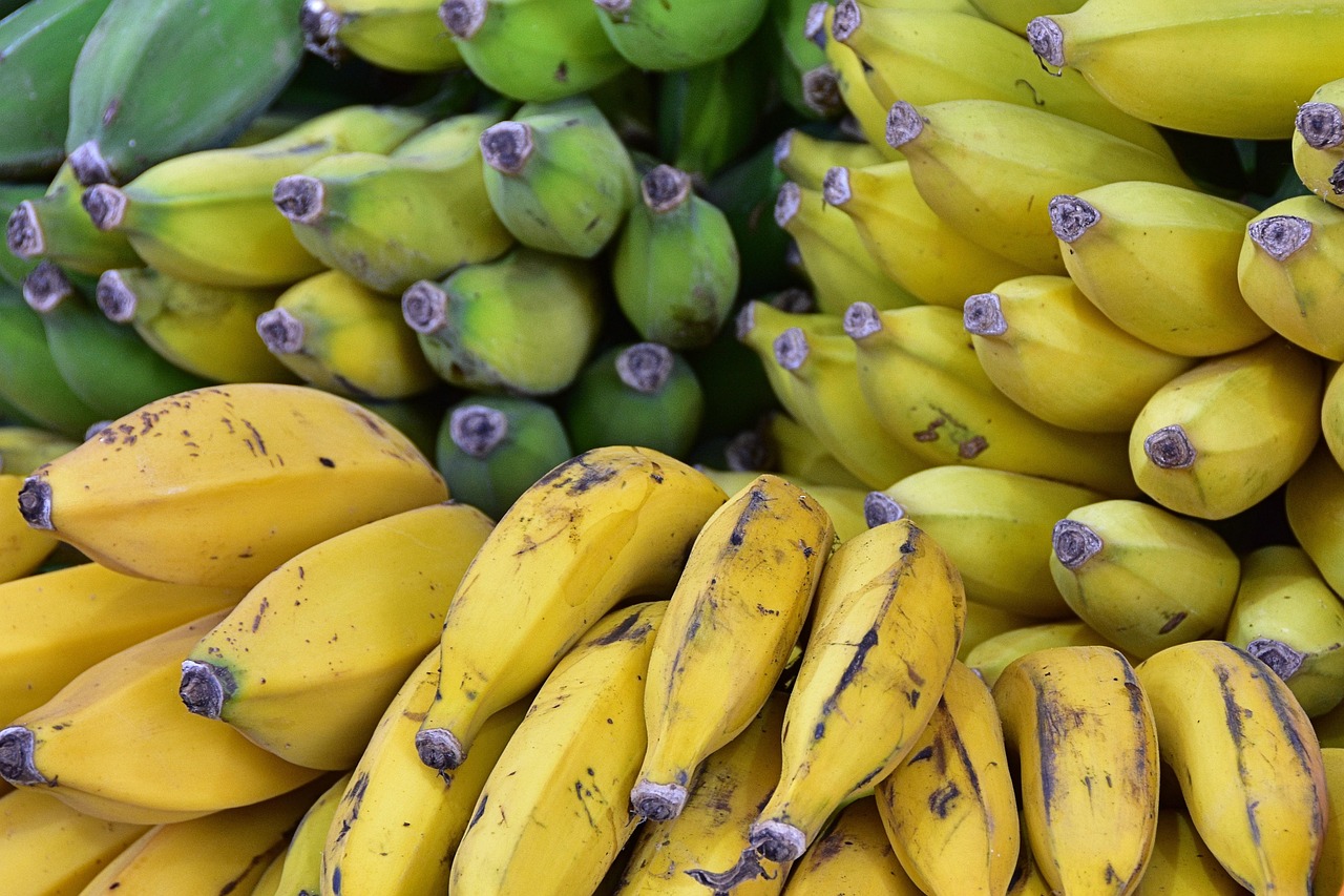 Voc&ecirc; guardou bananas errado a vida toda! veja o jeito certo que evita preju&iacute;zo