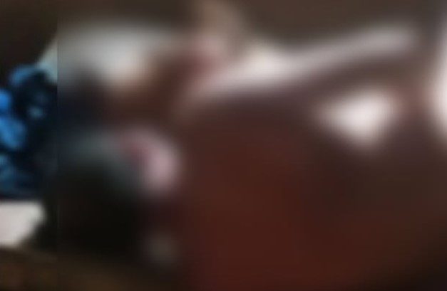 Homem &eacute; flagrado em ato sexual com cachorra em Para&iacute;so do Tocantins