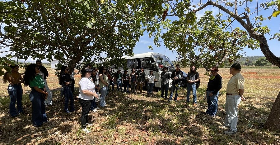Oficina sobre Bancos Ativos de Germoplasma e melhoramento gen&eacute;tico de frut&iacute;feras nativas do Cerrado &eacute; realizada na Embrapa Cerrados