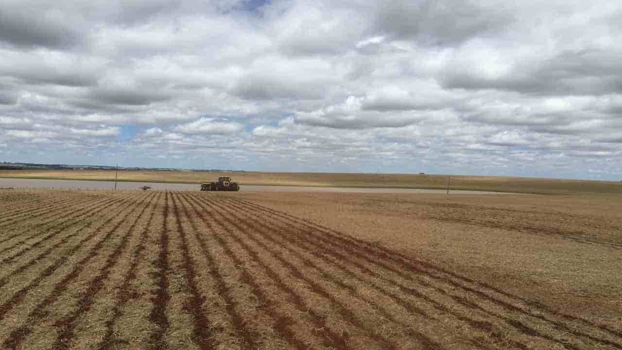 Chuvas irregulares atrasam plantio da soja no Tocantins e acendem alerta para a safrinha de 2026