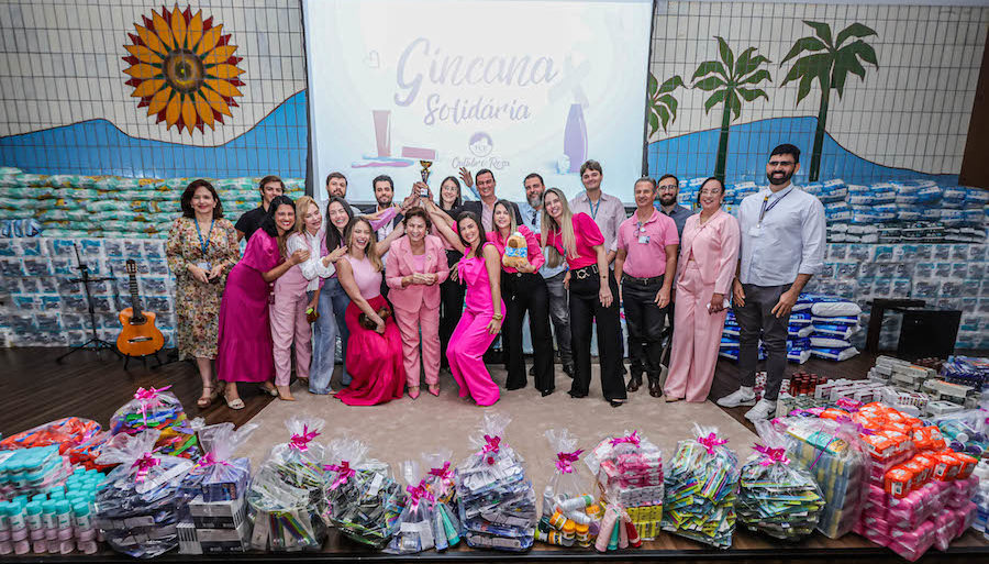 Gincana Solid&aacute;ria dos servidores do TCETO arrecada mais de 29 mil &iacute;tens para Liga Feminina de Combate ao C&acirc;ncer de Palmas