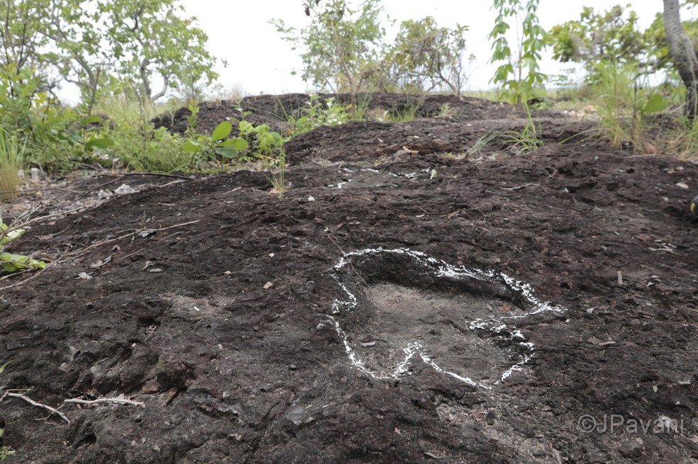 Pegadas de dinossauros com mais de 100 milh&otilde;es de anos s&atilde;o encontradas na Amaz&ocirc;nia
