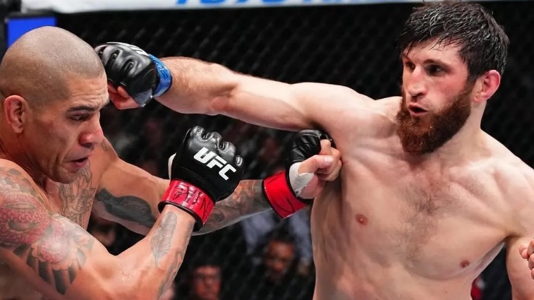 UFC 320: Campe&atilde;o do UFC aposta em nova vit&oacute;ria de Ankalaev contra Poatan