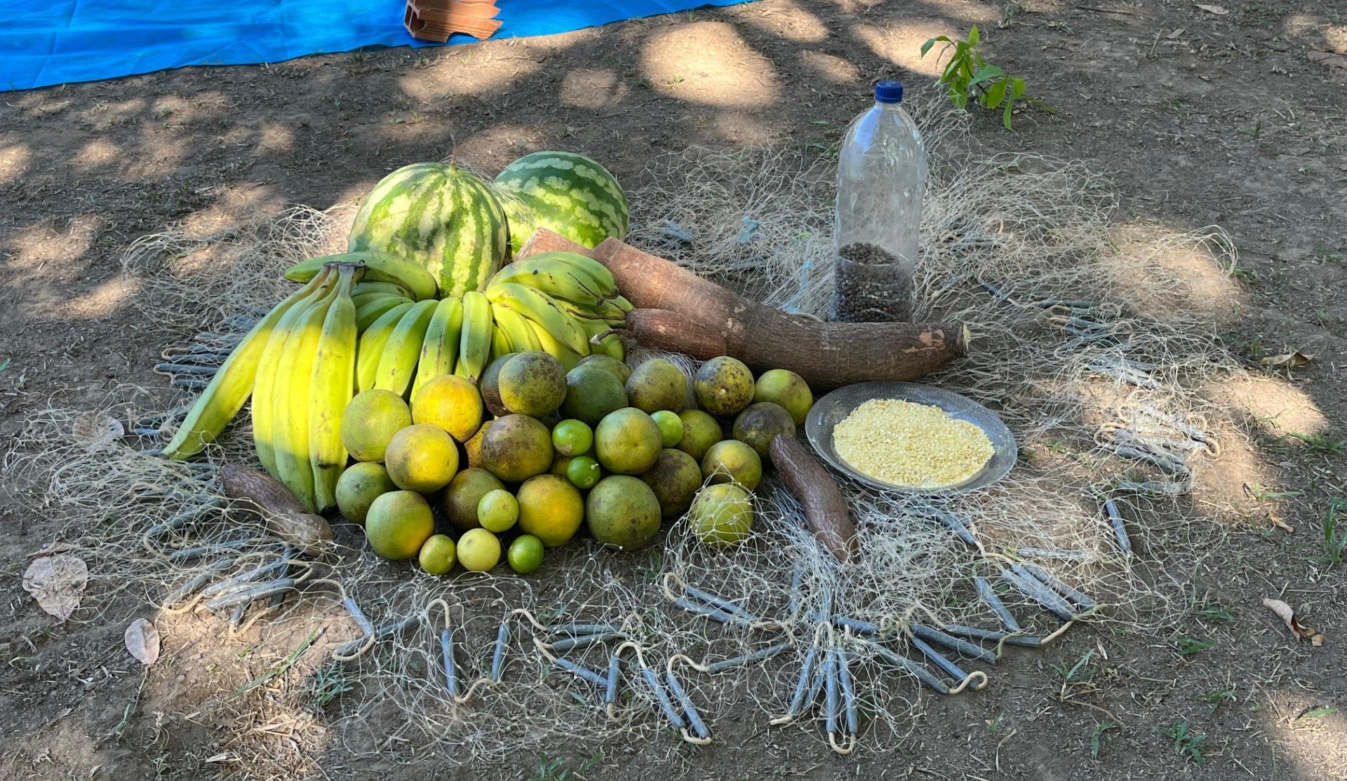 Semin&aacute;rio apresenta proposta de Lei de Agroecologia e Produ&ccedil;&atilde;o Org&acirc;nica do Tocantins