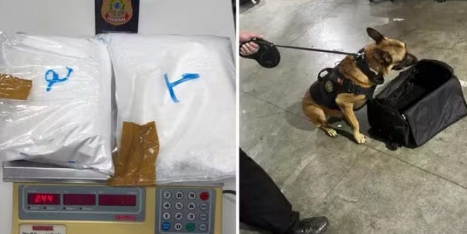 Alem&atilde;o &eacute; preso com 2,4 kg de coca&iacute;na em mala no Aeroporto de S&atilde;o Gon&ccedil;alo do Amarante