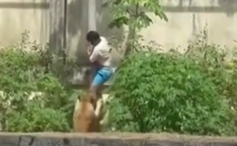 Homem morre ap&oacute;s invadir jaula de leoa no Zool&oacute;gico de Jo&atilde;o Pessoa PB; veja o v&iacute;deo
