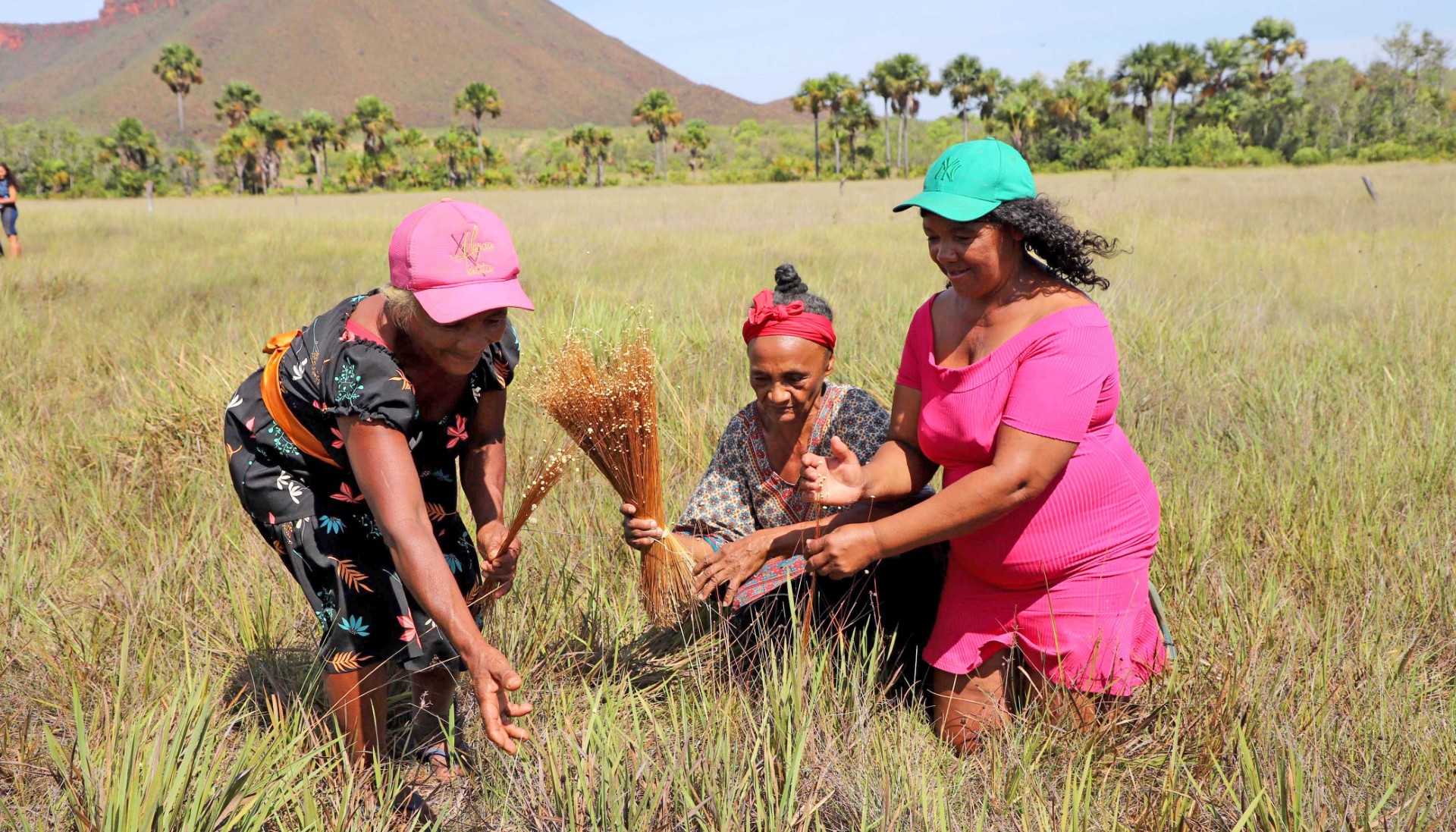 Governo do Tocantins refor&ccedil;a compromisso com a igualdade racial e celebra mem&oacute;ria de resist&ecirc;ncia negra