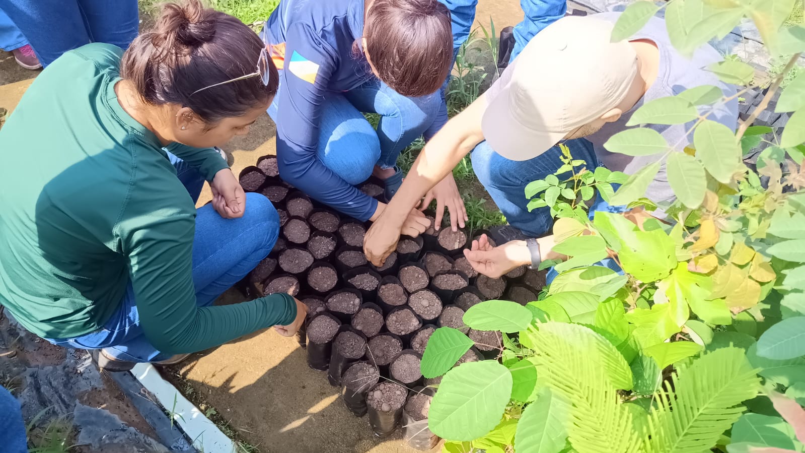 UFT se torna a primeira institui&ccedil;&atilde;o do Brasil a receber o selo de acredita&ccedil;&atilde;o do curso de agronomia