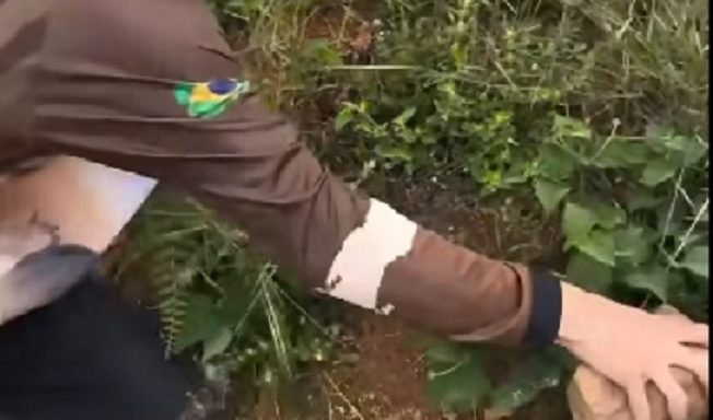 Influenciador divide opini&otilde;es ap&oacute;s matar cobra com pedradas durante grava&ccedil;&atilde;o; veja v&iacute;deo