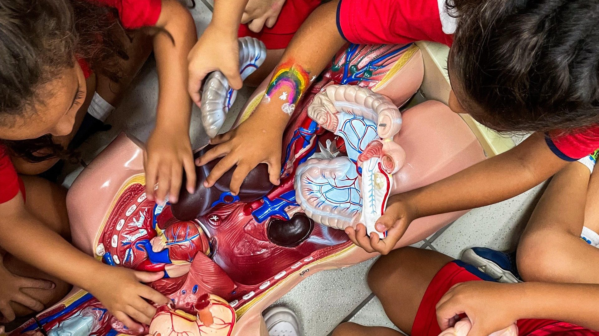 Primeira vez na escola: como tornar a adapta&ccedil;&atilde;o das crian&ccedil;as mais leve