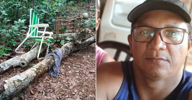 Homem morre ap&oacute;s galho de jatob&aacute; com cerca de 100 kg cair sobre ele em acampamento