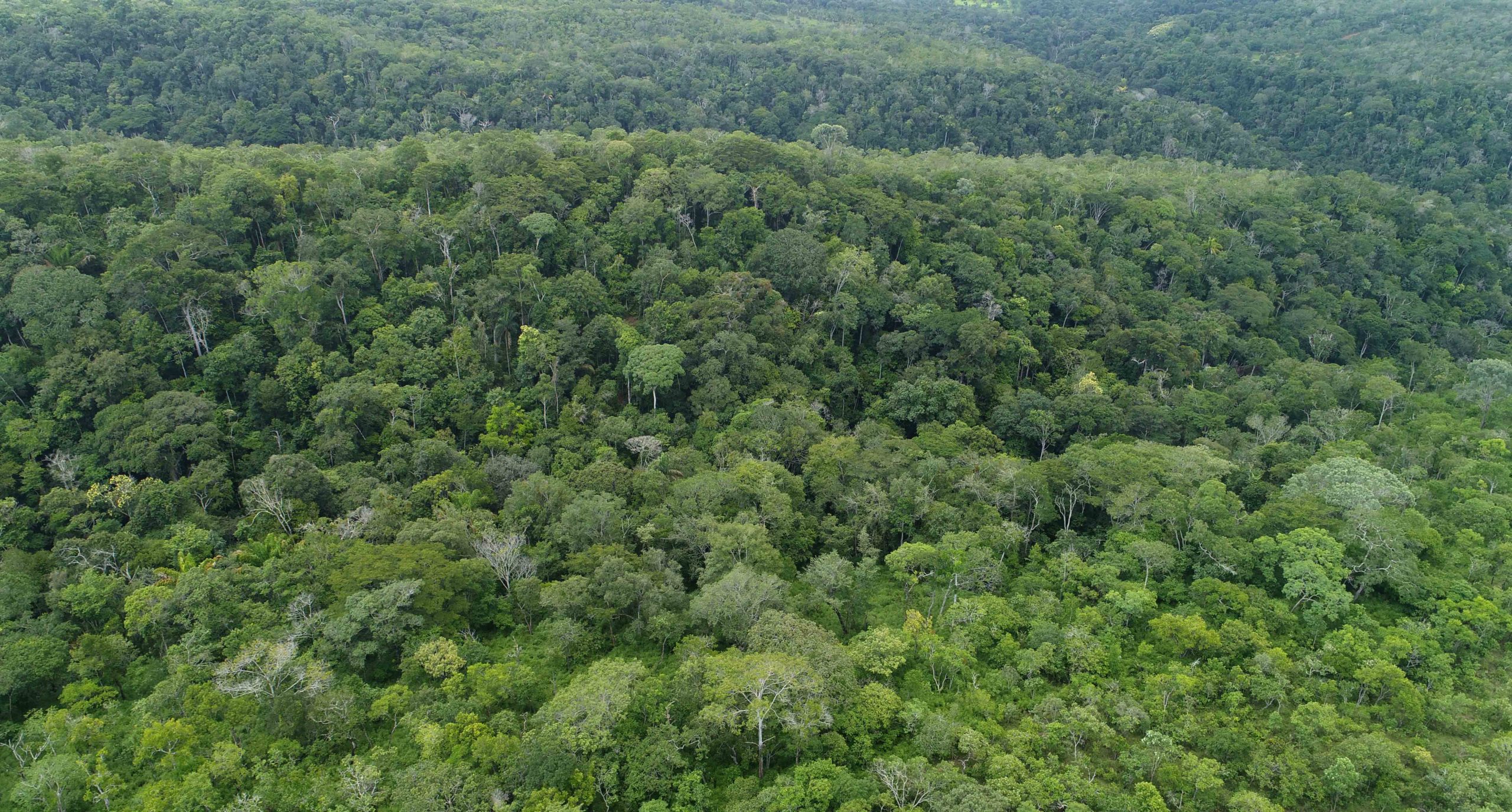 CIGMA mostra redu&ccedil;&atilde;o de mais de 20% no desmatamento e de cerca de 34% nas &aacute;reas queimadas no Tocantins em 2025
