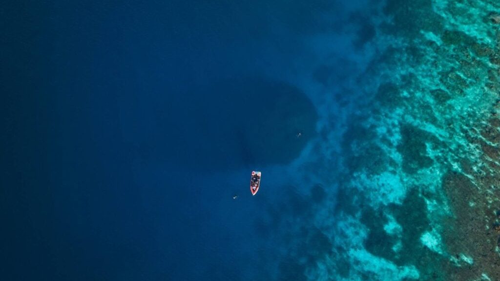 Com mais de 500 anos, ser vivo colossal no fundo do mar pode ser visto do espa&ccedil;o