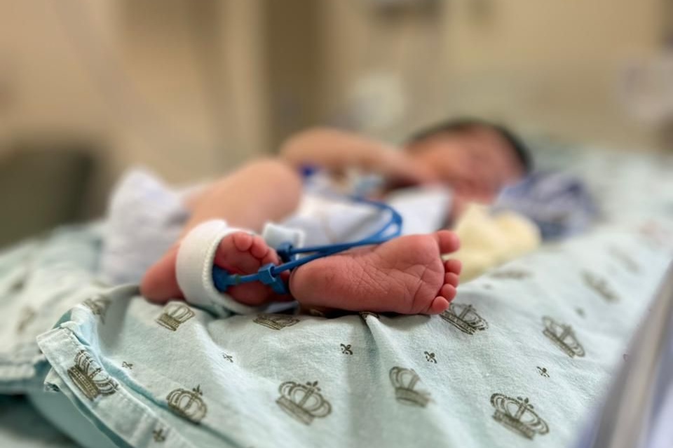 Maria e Heitor lideram ranking de nomes registrados na Maternidade C&eacute;lia C&acirc;mara em 2025