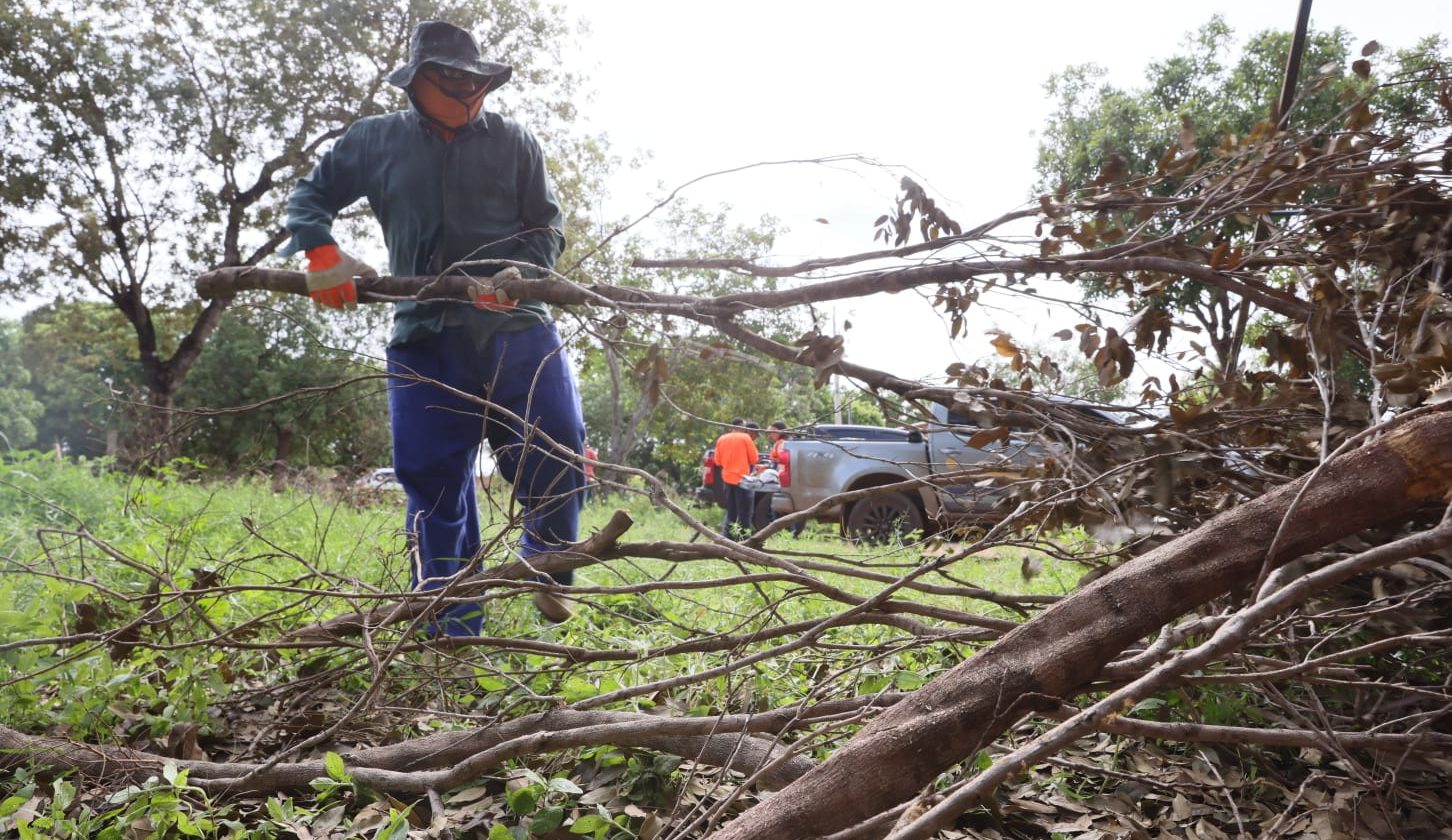 Prefeitura de Palmas conta com apoio de volunt&aacute;rios na a&ccedil;&atilde;o emergencial no Jardim Taquari