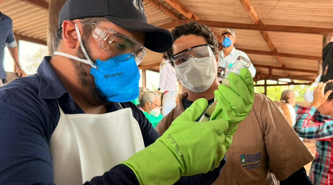 Produtores rurais concluem curso de vacina&ccedil;&atilde;o contra brucelose em Anan&aacute;s e Santa Tereza TO