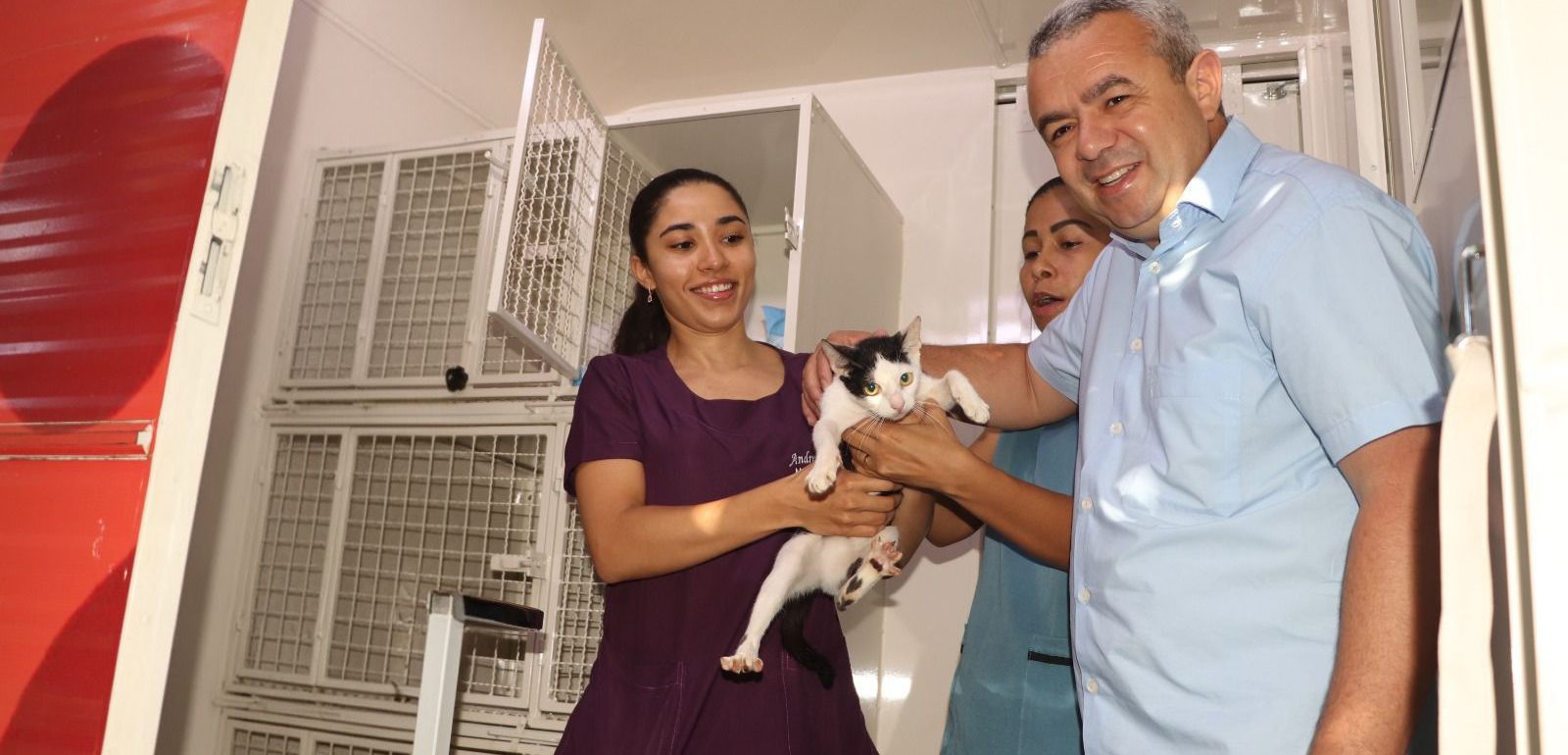 Prefeitura de Porto Nacional abre cadastramento para castra&ccedil;&atilde;o de animais pelo Castram&oacute;vel