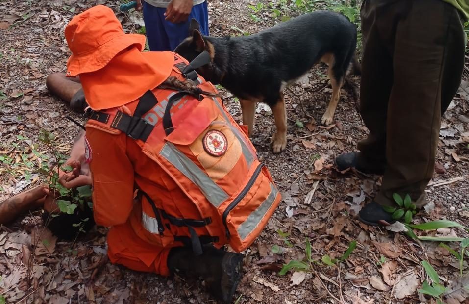 Corpo de Bombeiros do Tocantins localiza com vida homem desaparecido h&aacute; cinco dias em Gurupi