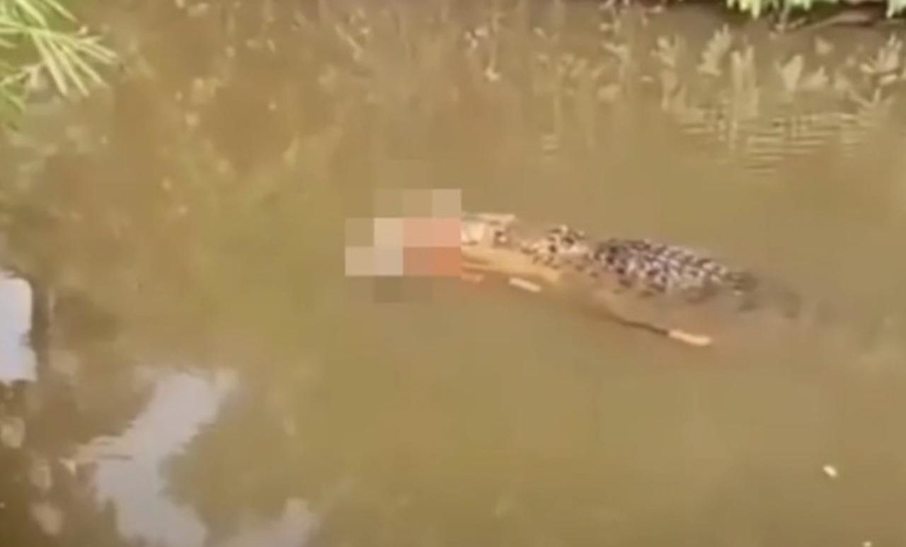 Crocodilo de cerca de 6 metros &eacute; encontrado carregando corpo de mulher em Aceh