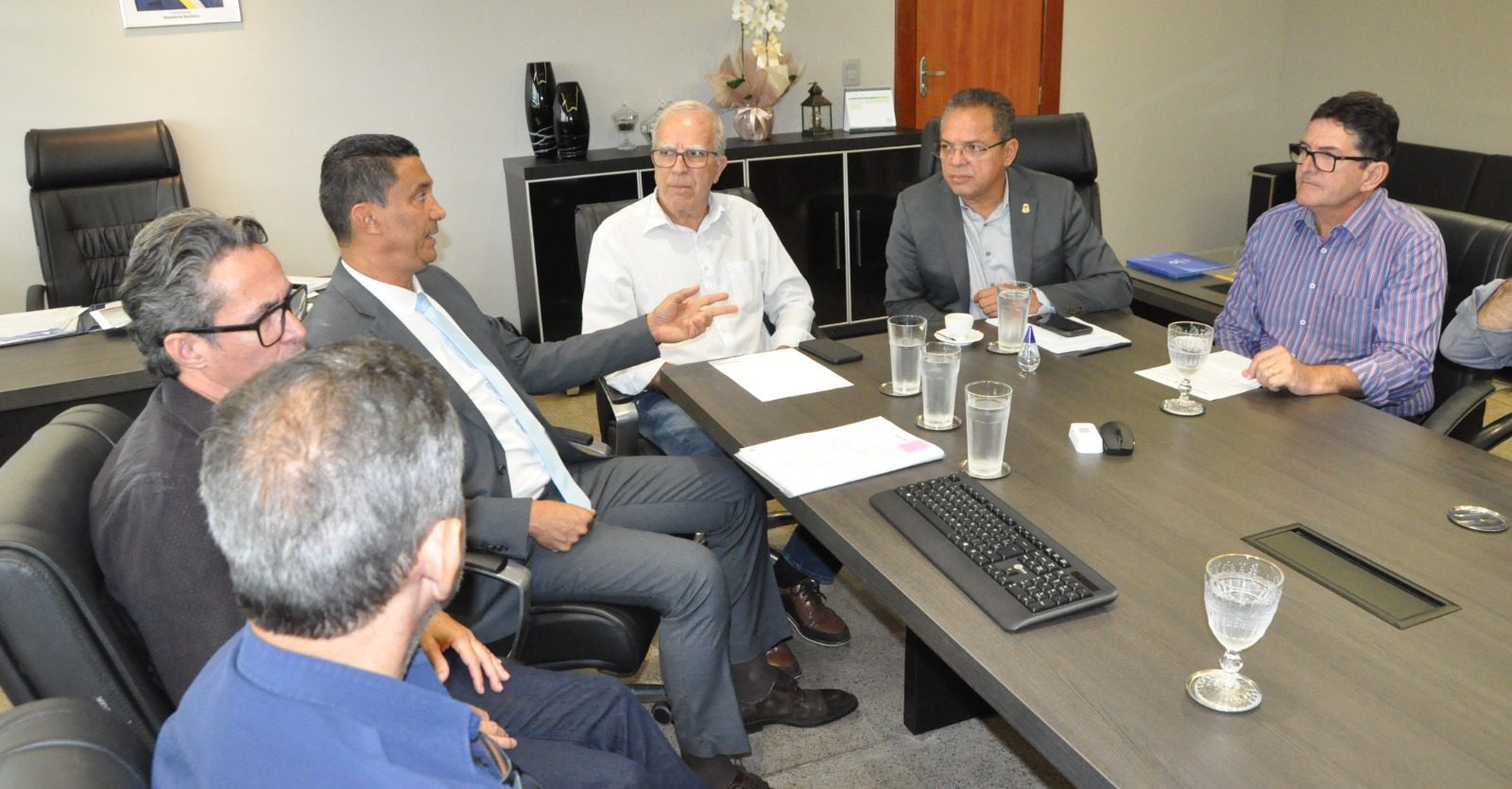 Governo do Tocantins alinha integra&ccedil;&atilde;o de sistemas para fortalecer o controle fiscal da cadeia pecu&aacute;ria