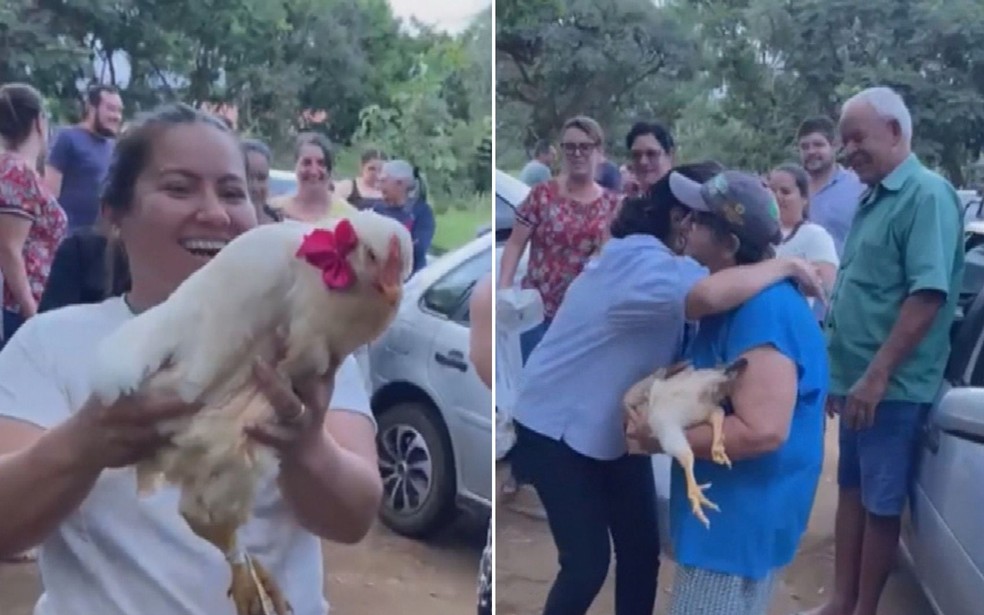 Lavradora ganha &lsquo;ch&aacute; de galinha&rsquo; de amigos ap&oacute;s perder aves em ataque de cachorros