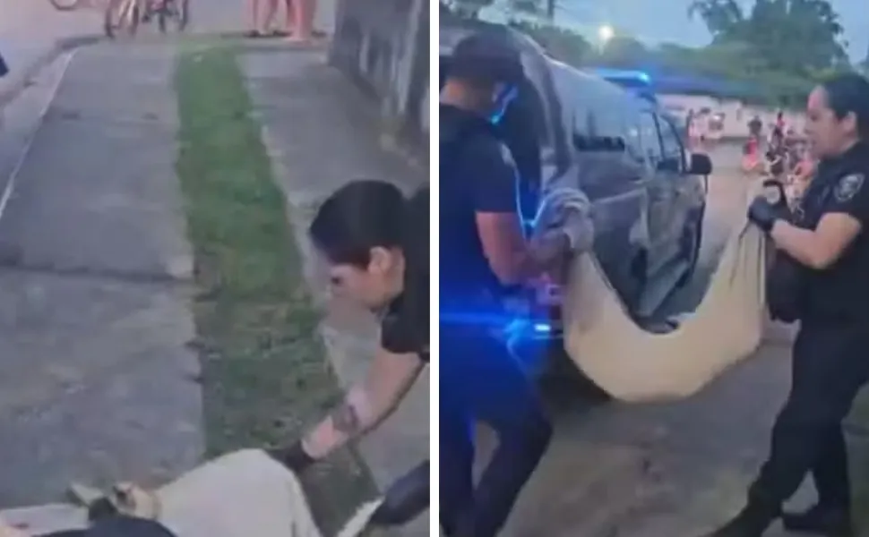Adolescentes s&atilde;o apreendidos ap&oacute;s arremessar c&atilde;o em rio e jogar animal de pr&eacute;dio em SC