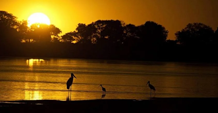 Entre lagoas e trilhas: o santu&aacute;rio de biodiversidade que pode virar destino de ecoturismo no Tocantins