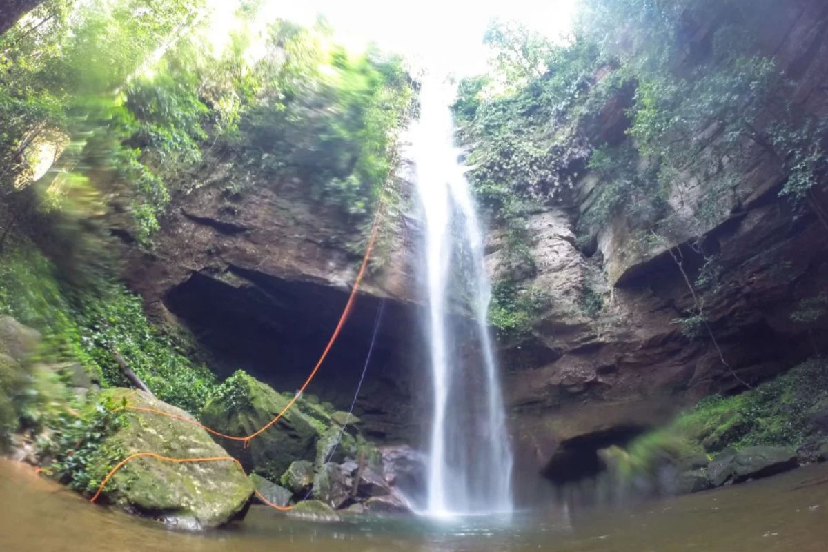 Cachoeira escondida no Cerrado impressiona visitantes com queda d&rsquo;&aacute;gua cercada por mata preservada