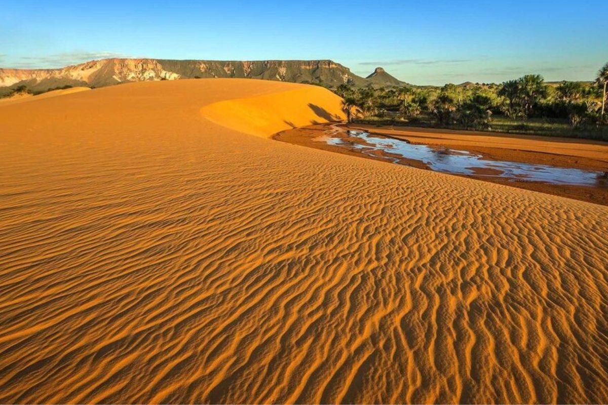 Dunas douradas que chegam a 40 metros de altura surgem em pleno Cerrado e atraem turistas do mundo inteiro