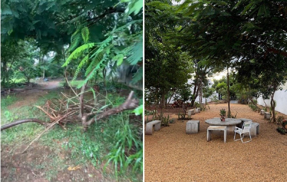 Influenciador com 3,5 milh&otilde;es de seguidores se muda para Palmas (TO) e transforma &aacute;rea usada como dep&oacute;sito de lixo